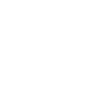 Footer logo Lianti